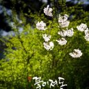 동안치매안심센터 이미지