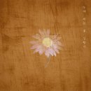 늦게 피는 꽃 이미지