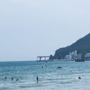 청솔라인