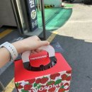 김사기농장 | 6월이 가기 전에 •• 📝