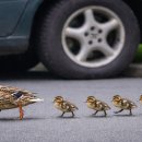 우연한만남 이미지