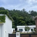 하조델리앤스테이 이미지