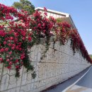 말밭농장 이미지