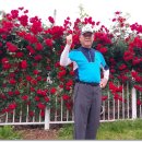 베누스모텔 이미지