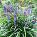 길농장2 이미지