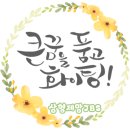 돼지동전노래연습장 이미지