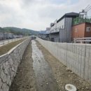용정천 파이낸셜뉴스