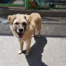 광산구-112 이미지