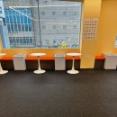 도그코 | 경안동 애견카페 경기광주 실내애견카페 야외잔디