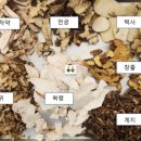 첨단 자동차 클리닉 이미지