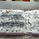 팀베이스 이미지