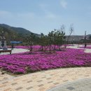 용담체련공원 Daum카페