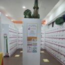 붕붕 소프트 | 너티차일드 천안점 대형 키즈카페 솔직 후기 – 아이랑 가볼 만한 곳💥