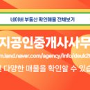 대지공인중개사사무소 이미지