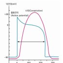 바디엔지니어스짐 이미지