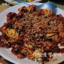 수월애 쭈꾸미 이미지