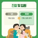 맘스동물의료센터 이미지