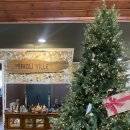 소랑스파앤풀빌라 | 겨울 서울 근교 자쿠지 스파 풀빌라 추천 | 포천 티볼리빌 스파 앤 풀빌라 후기