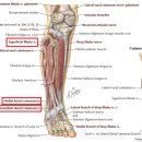 지성한의원 이미지
