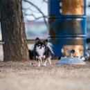 W&W(와앤와) 이미지