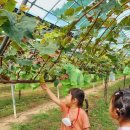 세아농장 이미지