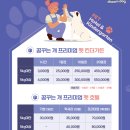 꿈꾸는개 이미지