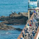 마리복합스포츠공원 이미지