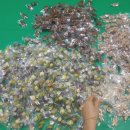 계명석사태권도장 이미지