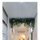 플라잉독 | 호흡하며 차분해지는 시간 동탄 플라잉 요가센터 요가 스피릿 플라잉 &amp; 번지피지오 동탄점 후기