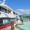 섬배마을 | 일본 후쿠오카 고양이섬 당일치기 가는 법 총정리(비용 · 배 시간표 · 준비물)