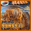 평원막국수 | 이천 평원메밀막국수 내돈내산 후기 | 비빔막국수, 숯불고기, 전병