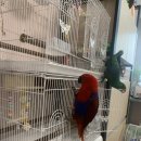 에르샤몽 연세강남의원 이미지