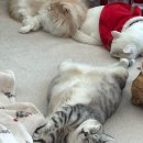 고영주택 이미지