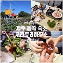 보름닭집 | 제주도 게스트하우스 소규모 파티 제주 동쪽 숙소 10만원대