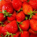 옛살비농장 이미지