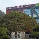 지정중학교 이미지