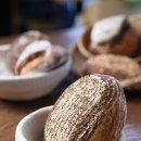 중앙동221 이미지