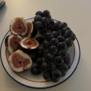 테일러짐 진천점 | 안녕하새우?