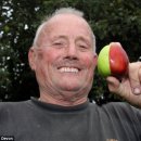 시드씨(주) 이미지