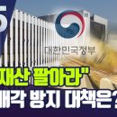 내년에만 35조 처분하는데…국유재산, 헐값에 팔아와 / 이미지