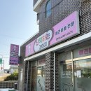 미용하는 강아지 | 세종시 애견미용 “산책하는 강아지” 솔직후기