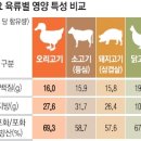 광탄오리