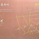 영남대로 이미지