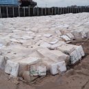 고대2리 이미지