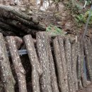 원목농장 이미지