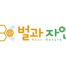 선진특허벌집벌꿀 이미지