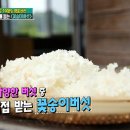 꽃송이가 이미지