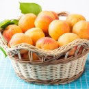 보충한의원 이미지