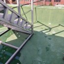 은혜고등학교 이미지