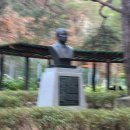 당나귀숲 | 대전 가을 나들이 단풍 구경 장태산자연휴양림 방문 후기(숲속어드벤처+주차+먹거리)